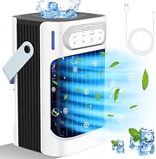 Bionaire Mini Fan
